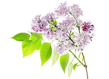 新作《桃太郎电铁世界》时隔12年回归世界舞台 11月16日登陆Switch